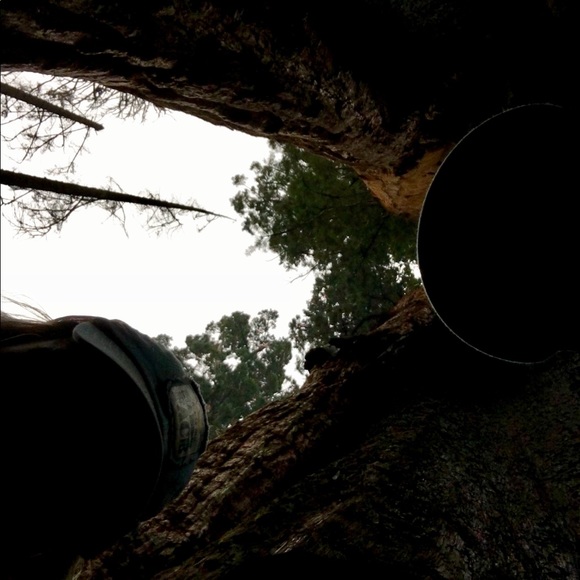 Meet your Posher, Martina - Picture 1 of 1